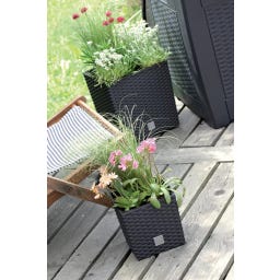 Prosperplast Blumentopf Rato Low Anthrazit - 20x20 cm