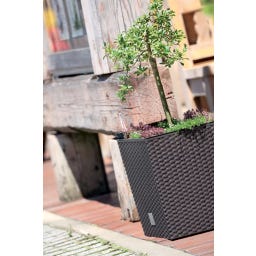 Prosperplast Blumentopf Rato Low Anthrazit - 20x20 cm