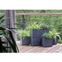 Pflanzkasten Sierra Case Beton Effect I Anthrazit - 57,7 x 28,8 cm