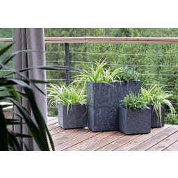 Pflanzkasten Sierra Case Beton Effect I Anthrazit - 57,7 x 28,8 cm