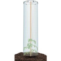 Prosperplast Tomaten Schutzhaube - 1 Set