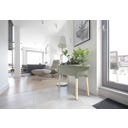 Respana Wood High Set - rastlinjak - Light grey