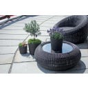 Prosperplast Blumentopf Rato Round - Anthrazit - ⌀ 25 cm