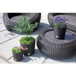 Prosperplast Blumentopf Rato Round - Anthrazit - ⌀ 25 cm