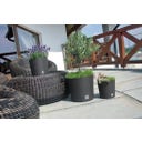 Prosperplast Blumentopf Rato Round - Braun - ⌀ 25 cm