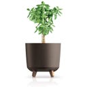 Blumentopf Gracia Tubus ECO Wood I Kaffee - 1 Stk
