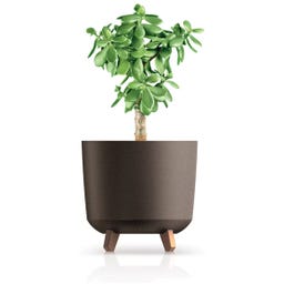 Blumentopf Gracia Tubus ECO Wood I Kaffee - 1 Stk