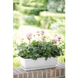 elho barcelona Balcony Box 70cm - white