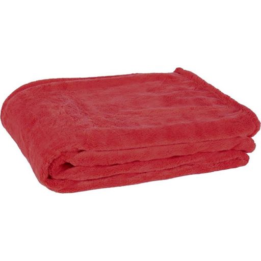 Zoeppritz Microstar Fireplace Red Blanket