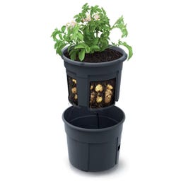 Prosperplast Anzuchttopf für Kartoffeln - 2 in 1 - ⌀ 29,5 cm