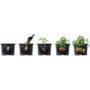 Prosperplast Anzuchttopf für Kartoffeln - 2 in 1 - ⌀ 29,5 cm