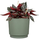 Scheurich Plano Sierpot Matt Sage - Ø 13 cm