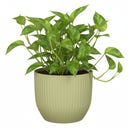 Scheurich Nova Übertopf Gentle Green - Ø 13 cm