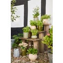 IB Laursen Keramični lonec - siva