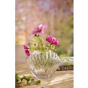 IB Laursen Vase muschelförmig aus Glas - 1 Stk