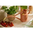 HAWS Classic Indoor Watering Can - 1 L - Pink Clay