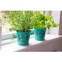 Burgon & Ball Pots à Aromates 