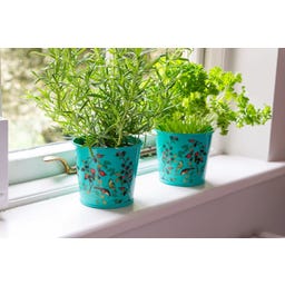 Burgon & Ball Pots à Aromates 