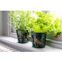 Burgon & Ball Pots à Aromates 