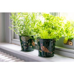 Burgon & Ball Pots à Aromates 