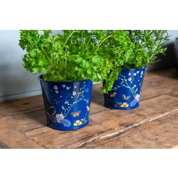 Burgon & Ball Pots à Aromates 