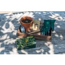 Burgon & Ball Aussaat- & Pflanzset 