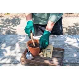 Burgon & Ball Aussaat- & Pflanzset 