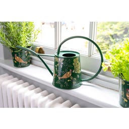 Burgon & Ball Arrosoir d’Intérieur 