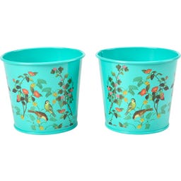 Burgon & Ball Pots à Aromates 