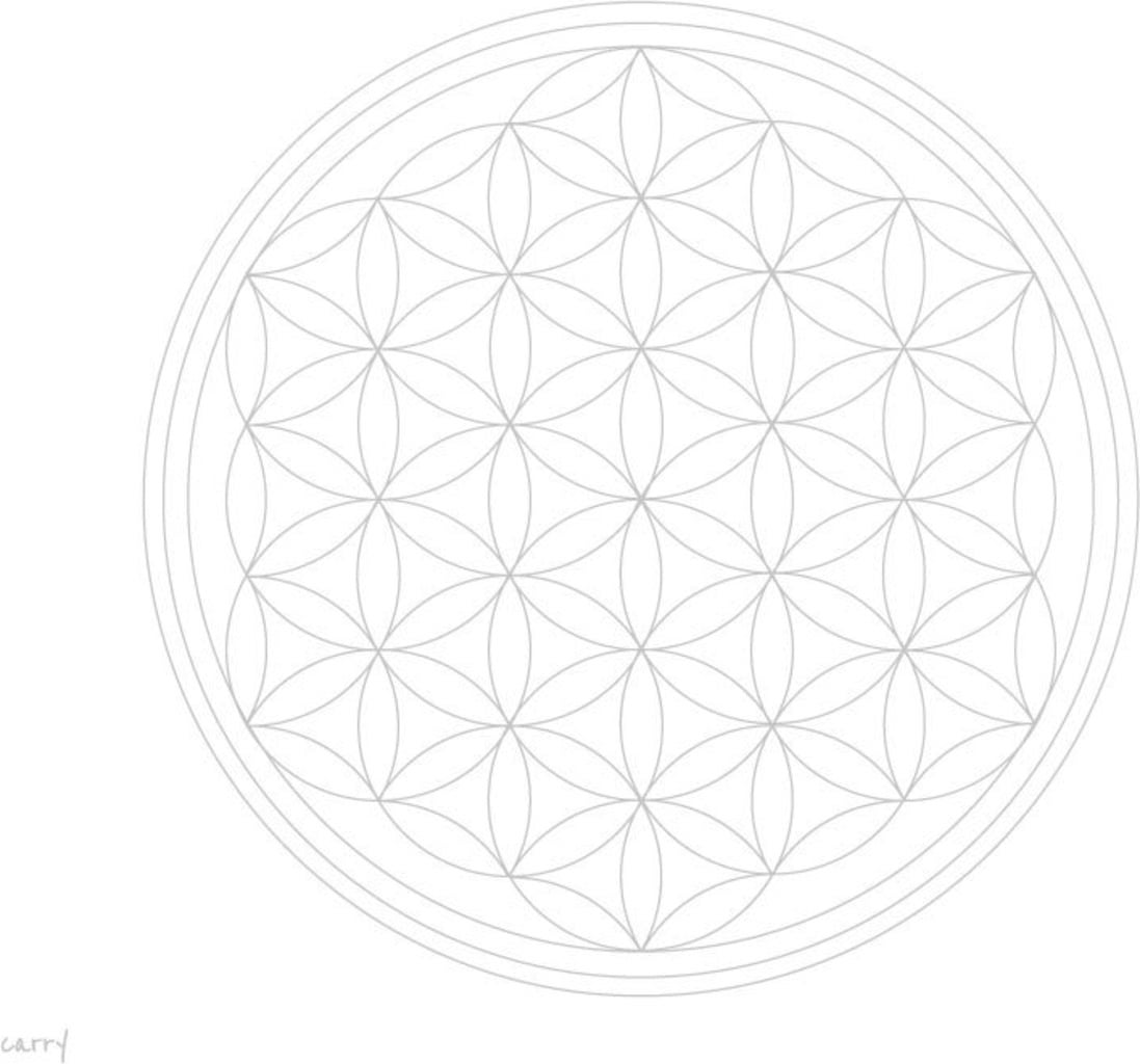 CARRY Bottle Flaska - Flower of Life - 1 st.