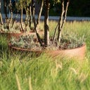 Pflanzgefäß Circum aus Cortenstahl - ohne Boden