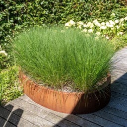 Pflanzgefäß Ellipse aus Cortenstahl - Ohne Boden - 120 x 80 x 60 cm