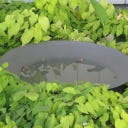 ADEZZ Wasserschale aus Stahl, Anthrazit