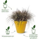 Pot Rond avec Roulettes LOFT URBAN - 40 cm