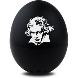 Brainstream Beethoven PiepEi