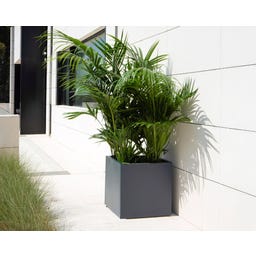 Herstera Pflanzkasten Cube 50x50x50