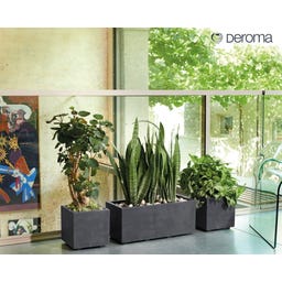 Vaso Quadro Millenium con Serbatoio d'Acqua - Antracite