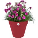 Pot Rond avec Roulettes LOFT URBAN - 40 cm - Rouge théâtre