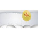 Brainstream 70er PiepEi