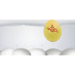 Brainstream 70er PiepEi