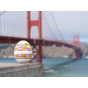 Brainstream Hippie PiepEi