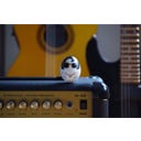 Brainstream PiepEi Elvis