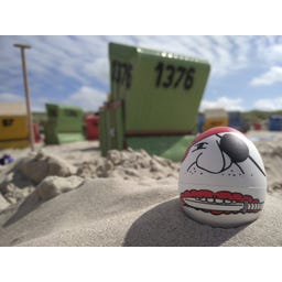 Brainstream Piraten PiepEi