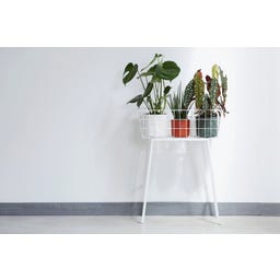 elho b.for soft round - bianco