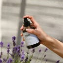 pepin Cleaning Brume Spray - 200 ml