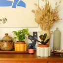 pepin Paula - Self-watering pot - Yellow mustard