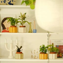 pepin Paula - Self-watering pot - Yellow mustard