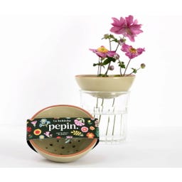 pepin Bobèche pour Tiges de Fleurs