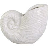 Chic Antique Vase Coquillage