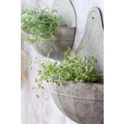 Chic Antique Vaso da Parete - Set da 2